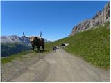 Passo Sella - Rifugio Sasso Piatto